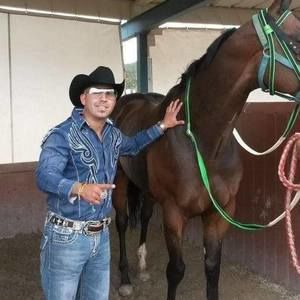 Meet your Posher, Jerry